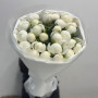 25 белых пионов фото 2