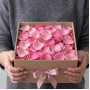 Лепестки розовых роз